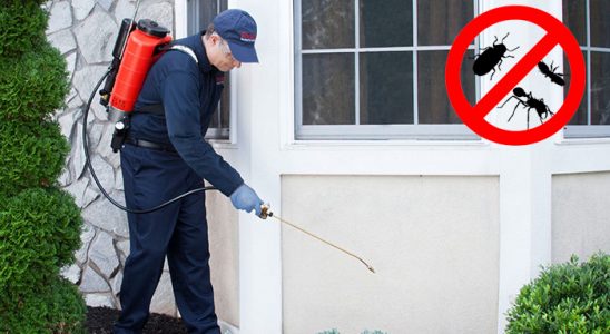 Çekmeköy Hamam Böceği İlaçlama böcek ilaçlama ve haşere kontrolü — ilaclama-tr.com